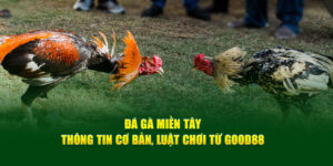 da ga mien tay thong tin co ban luat choi tu good88